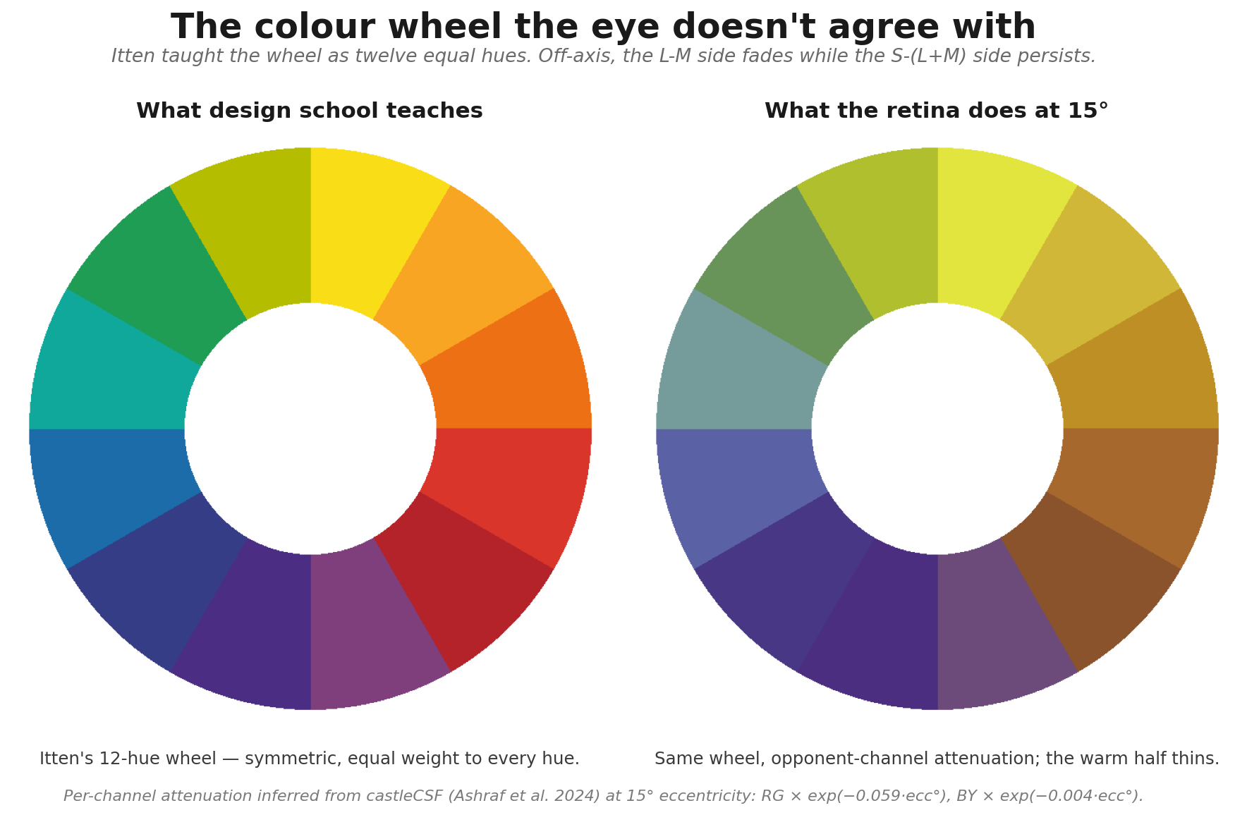 Side-by-side: Itten's 12-hue colour wheel as taught in design schools, beside the same wheel under peripheral chromatic pooling at 15° eccentricity — the red/orange/yellow side desaturates while the blue/green/violet side mostly holds