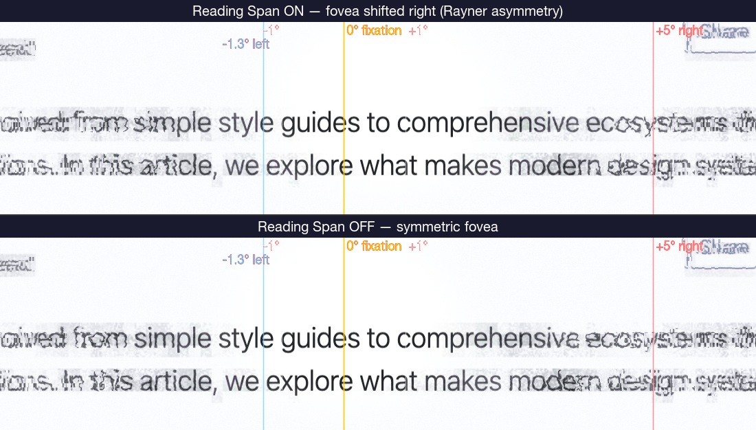 Reading span comparison: ON shifts fovea rightward during LTR reading, OFF stays symmetric. Vertical lines mark Rayner perceptual span boundaries at -1.3° left and +5° right.