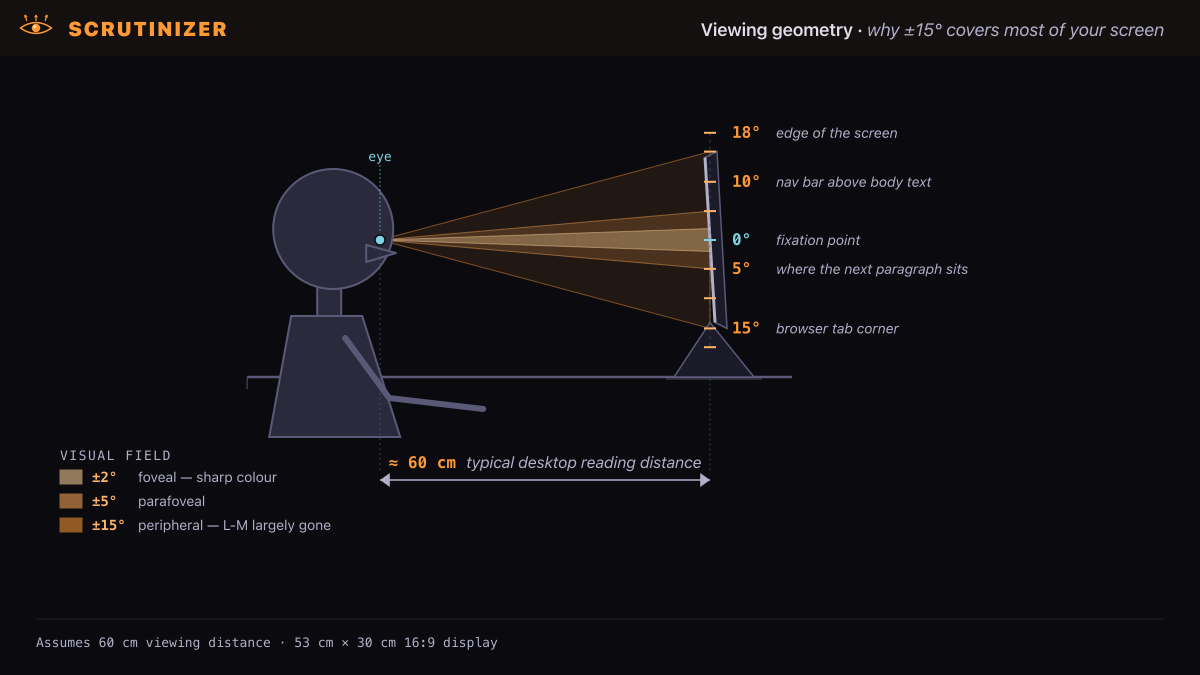 Side-view diagram of a person at a 24-inch monitor 60 cm away, with nested foveal (±2°), parafoveal (±5°), and peripheral (±15°) cones drawn from the eye to the screen plane, plus tick-mark labels showing what eccentricities map to fixation point, the next paragraph, the nav bar, browser tab corner, and the edge of the screen